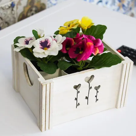 Thalasso B&B 치렐라